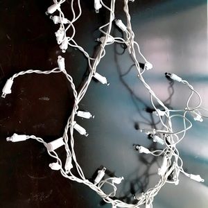 Indoor or outdoor lights